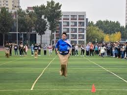 德甲半场：基尼洛斯1射1传，卡德破门，奥格斯堡2-0勒沃库森